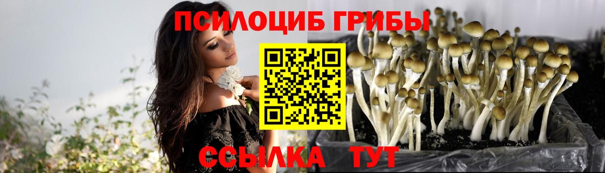 Галлюциногенные грибы GOLDEN TEACHER Лабинск